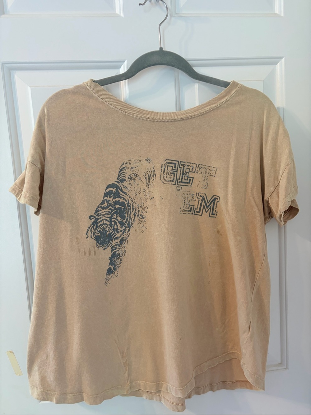Graphic Tiger Tee in Faded Tan